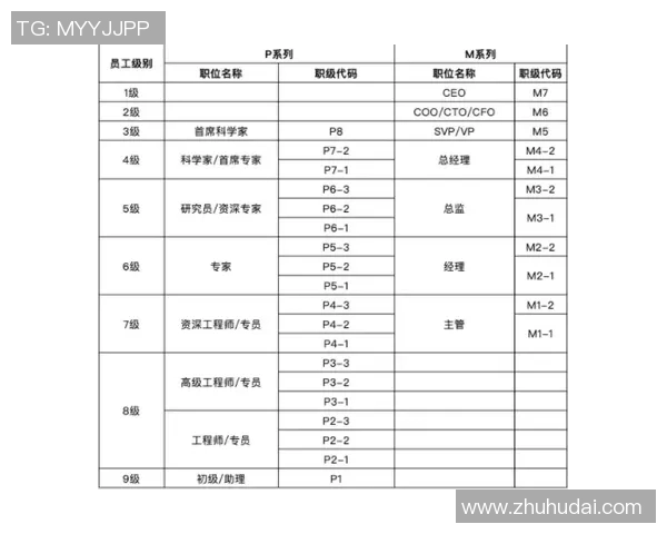 球员经纪人制度揭秘